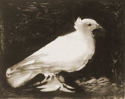The dove