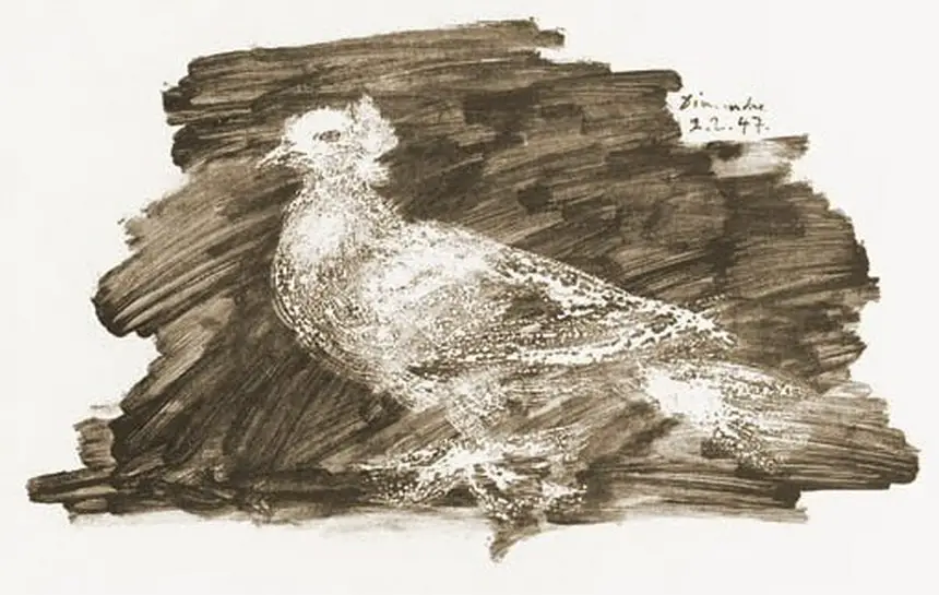 Pablo Picasso. Pigeon gray background, 1947