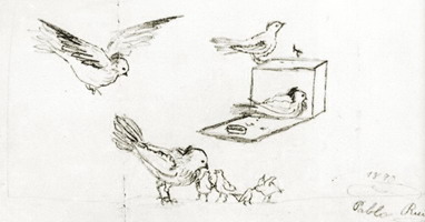 Pablo Picasso. Pigeons, 1890